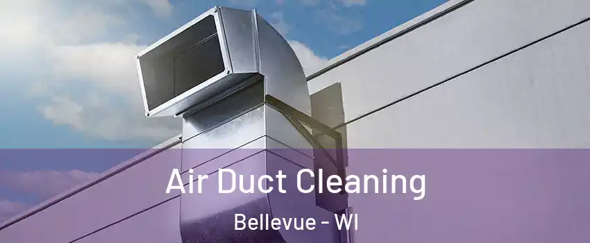  Air Duct Cleaning Bellevue - WI