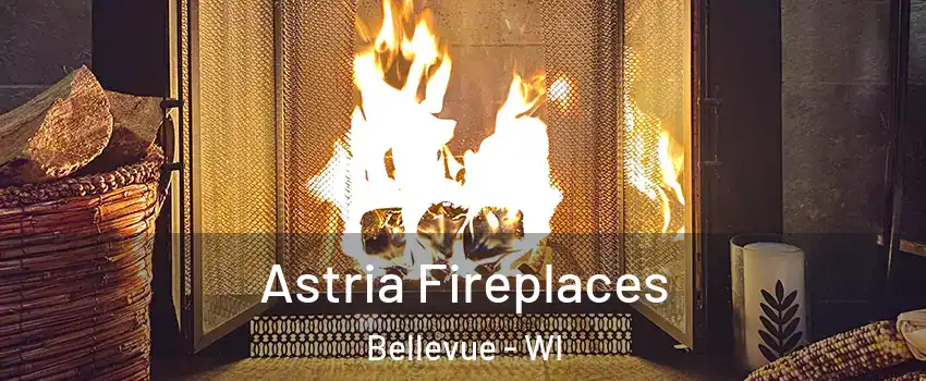  Astria Fireplaces Bellevue - WI
