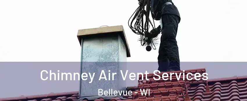  Chimney Air Vent Services Bellevue - WI