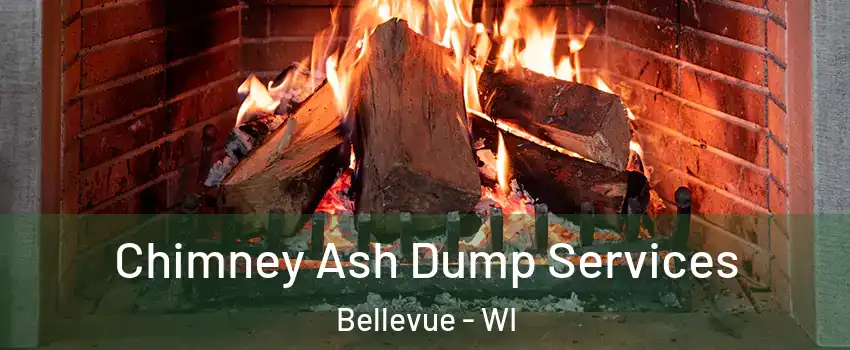  Chimney Ash Dump Services Bellevue - WI