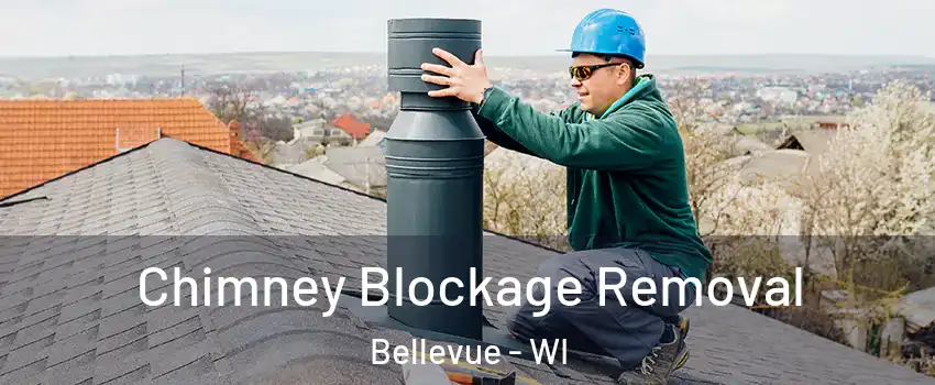  Chimney Blockage Removal Bellevue - WI