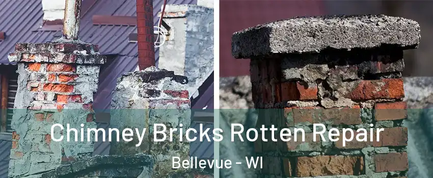  Chimney Bricks Rotten Repair Bellevue - WI