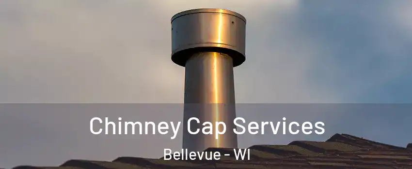  Chimney Cap Services Bellevue - WI