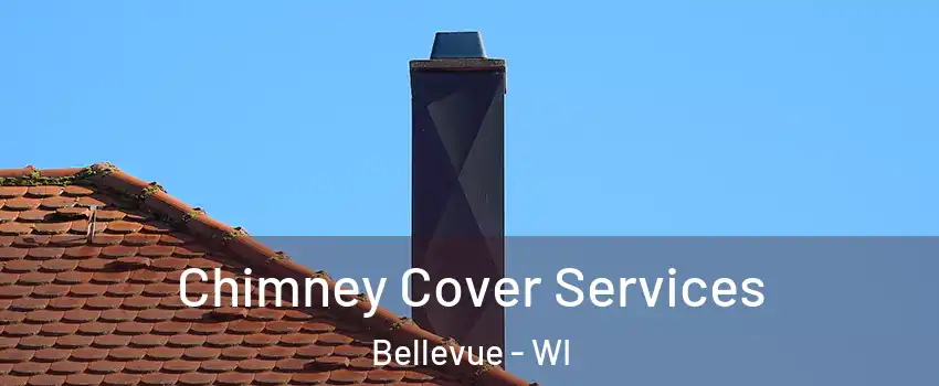  Chimney Cover Services Bellevue - WI