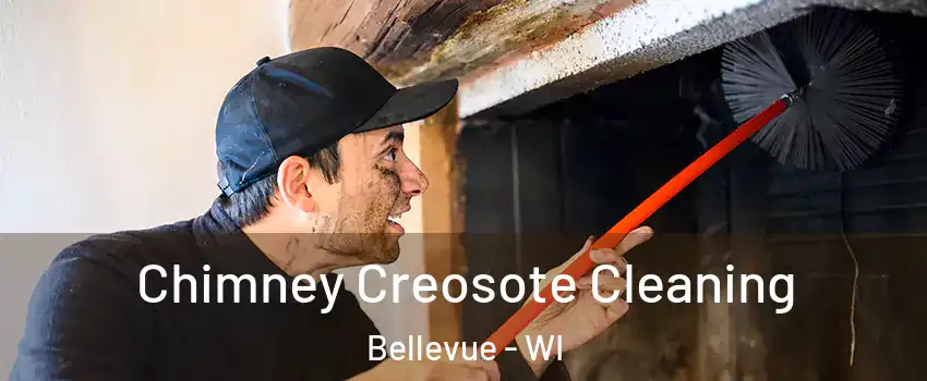 Chimney Creosote Cleaning Bellevue - WI
