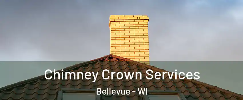Chimney Crown Services Bellevue - WI