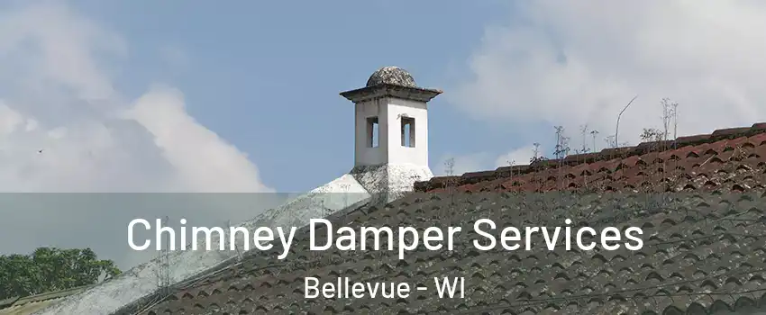  Chimney Damper Services Bellevue - WI