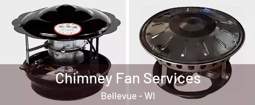  Chimney Fan Services Bellevue - WI