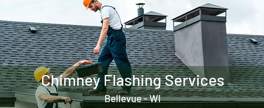  Chimney Flashing Services Bellevue - WI