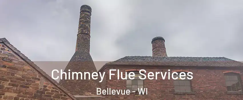  Chimney Flue Services Bellevue - WI