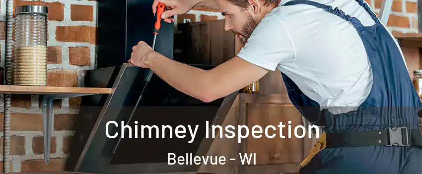  Chimney Inspection Bellevue - WI