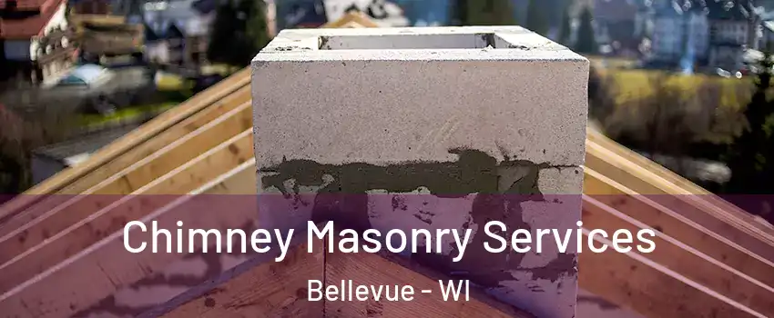  Chimney Masonry Services Bellevue - WI