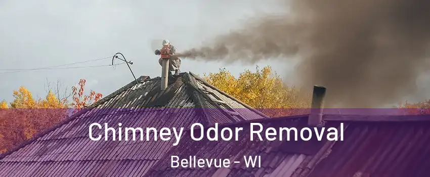  Chimney Odor Removal Bellevue - WI
