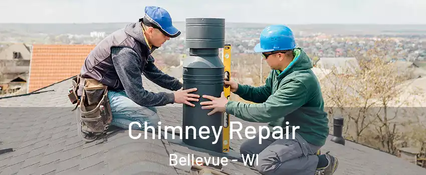  Chimney Repair Bellevue - WI