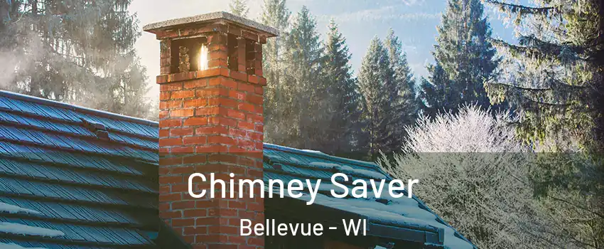  Chimney Saver Bellevue - WI