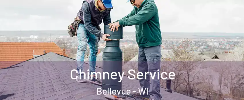  Chimney Service Bellevue - WI