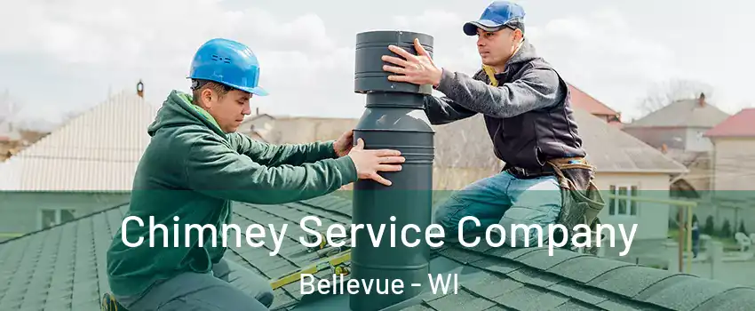  Chimney Service Company Bellevue - WI