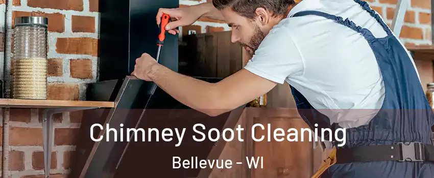  Chimney Soot Cleaning Bellevue - WI