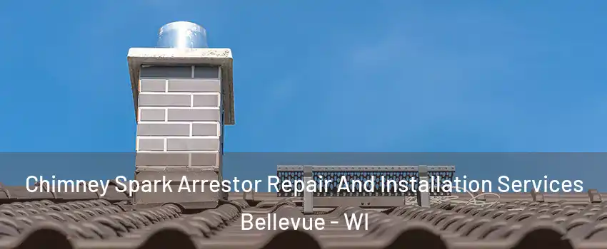  Chimney Spark Arrestor Repair And Installation Services Bellevue - WI