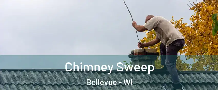  Chimney Sweep Bellevue - WI
