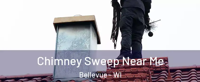  Chimney Sweep Near Me Bellevue - WI