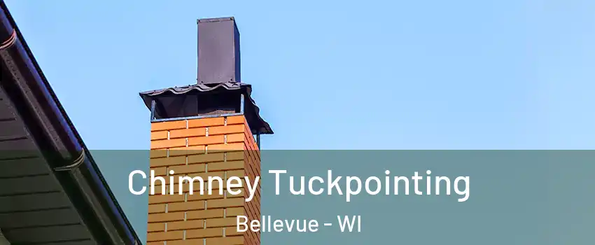  Chimney Tuckpointing Bellevue - WI