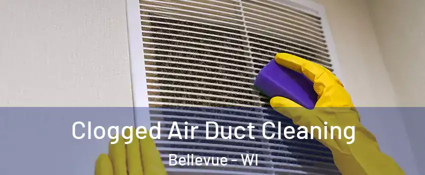  Clogged Air Duct Cleaning Bellevue - WI