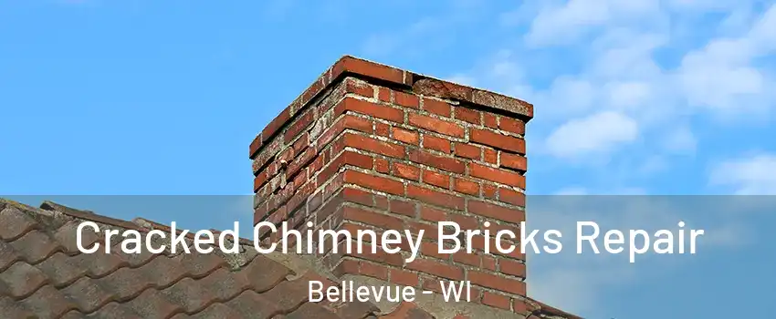  Cracked Chimney Bricks Repair Bellevue - WI