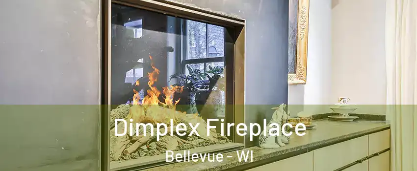  Dimplex Fireplace Bellevue - WI