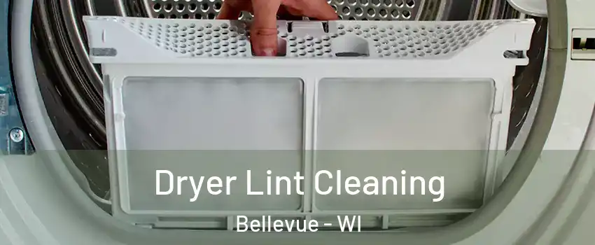  Dryer Lint Cleaning Bellevue - WI