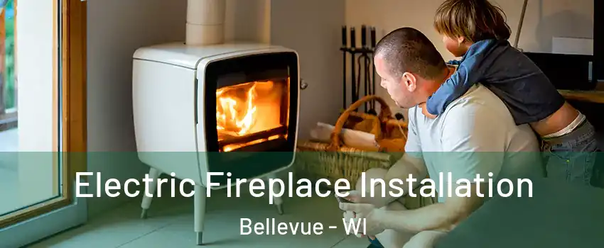  Electric Fireplace Installation Bellevue - WI