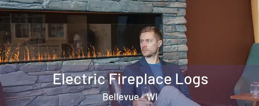  Electric Fireplace Logs Bellevue - WI