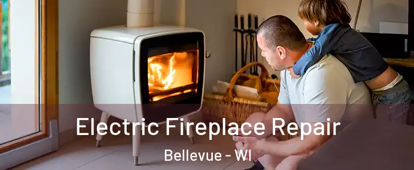  Electric Fireplace Repair Bellevue - WI