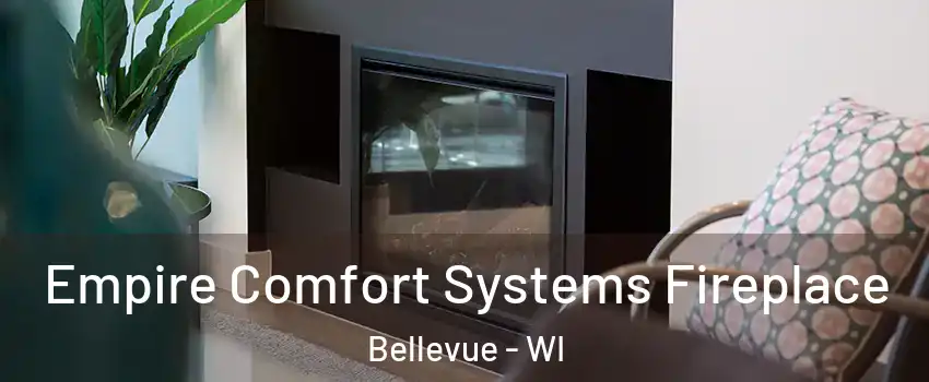  Empire Comfort Systems Fireplace Bellevue - WI