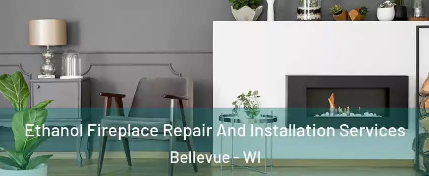  Ethanol Fireplace Repair And Installation Services Bellevue - WI
