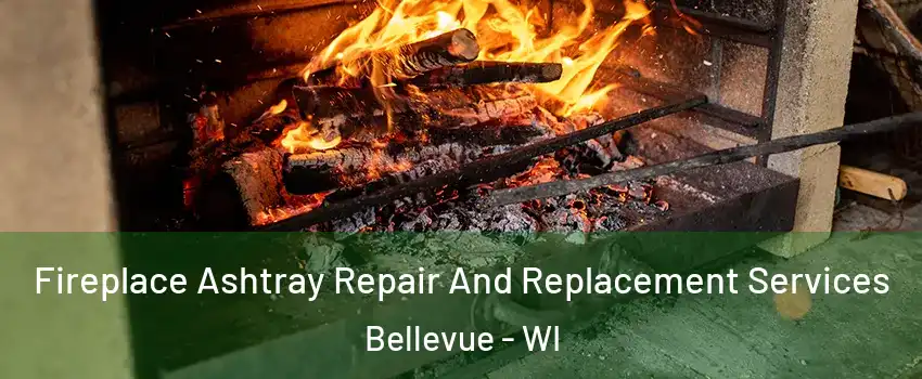  Fireplace Ashtray Repair And Replacement Services Bellevue - WI