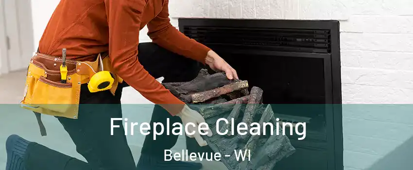  Fireplace Cleaning Bellevue - WI