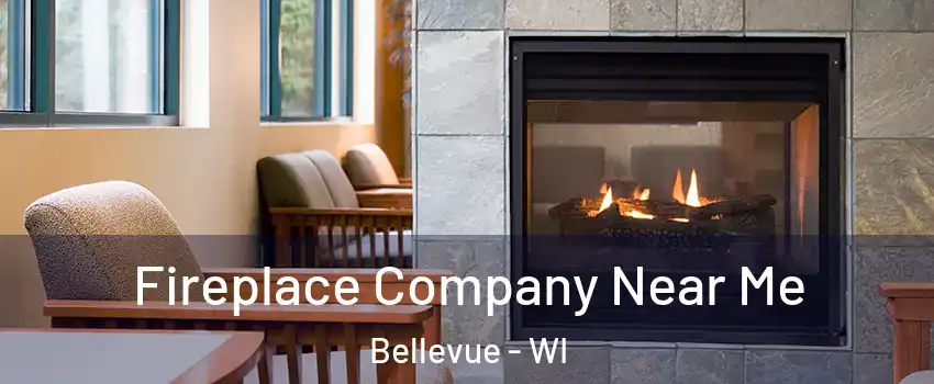  Fireplace Company Near Me Bellevue - WI