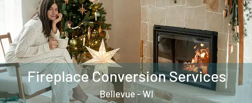  Fireplace Conversion Services Bellevue - WI