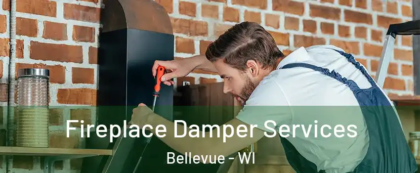  Fireplace Damper Services Bellevue - WI