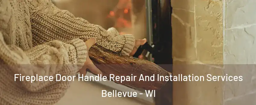  Fireplace Door Handle Repair And Installation Services Bellevue - WI