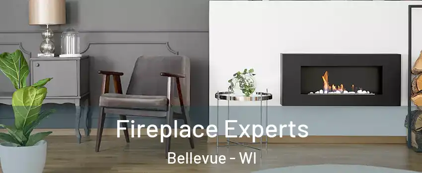  Fireplace Experts Bellevue - WI