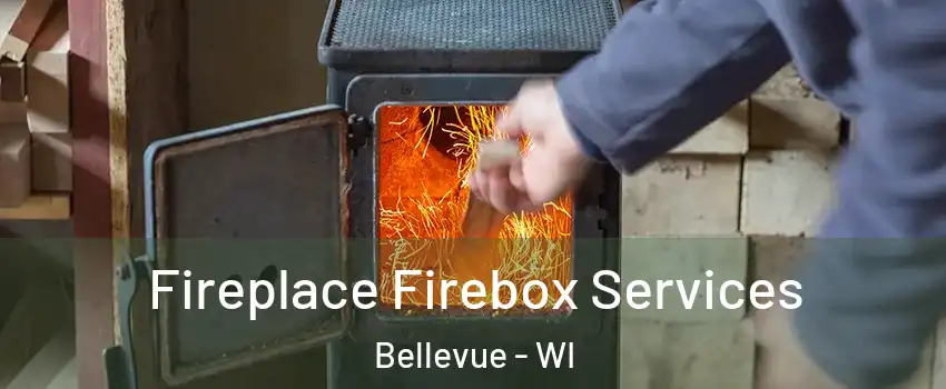  Fireplace Firebox Services Bellevue - WI