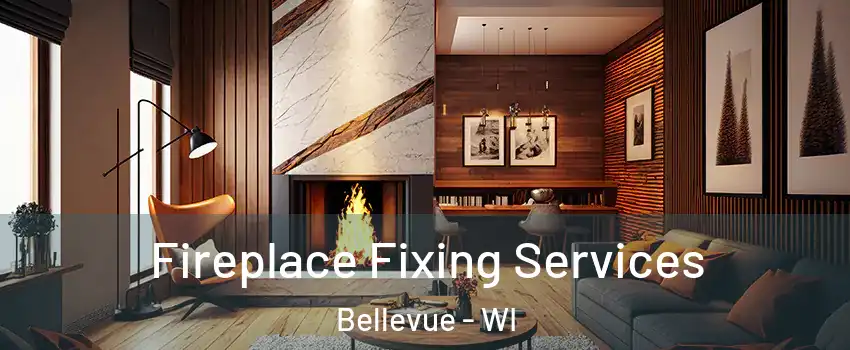  Fireplace Fixing Services Bellevue - WI