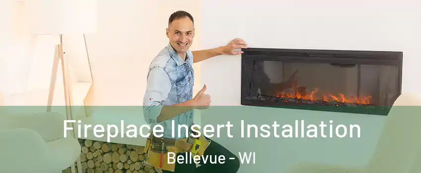  Fireplace Insert Installation Bellevue - WI