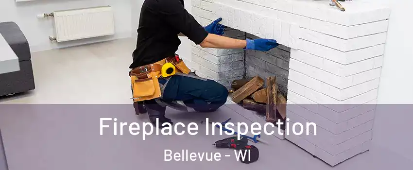  Fireplace Inspection Bellevue - WI