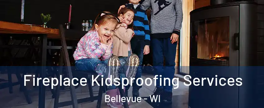  Fireplace Kidsproofing Services Bellevue - WI