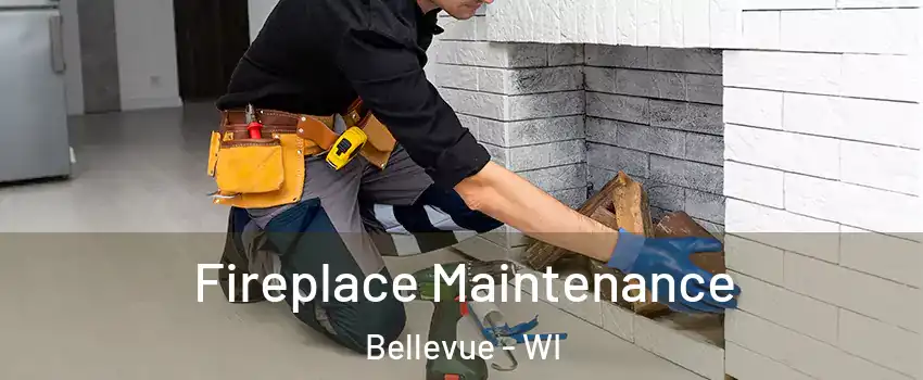  Fireplace Maintenance Bellevue - WI