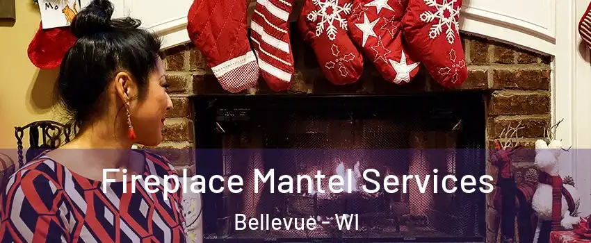  Fireplace Mantel Services Bellevue - WI