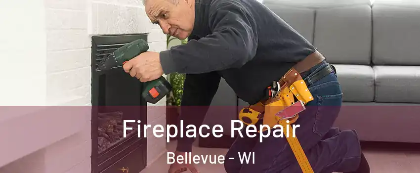  Fireplace Repair Bellevue - WI